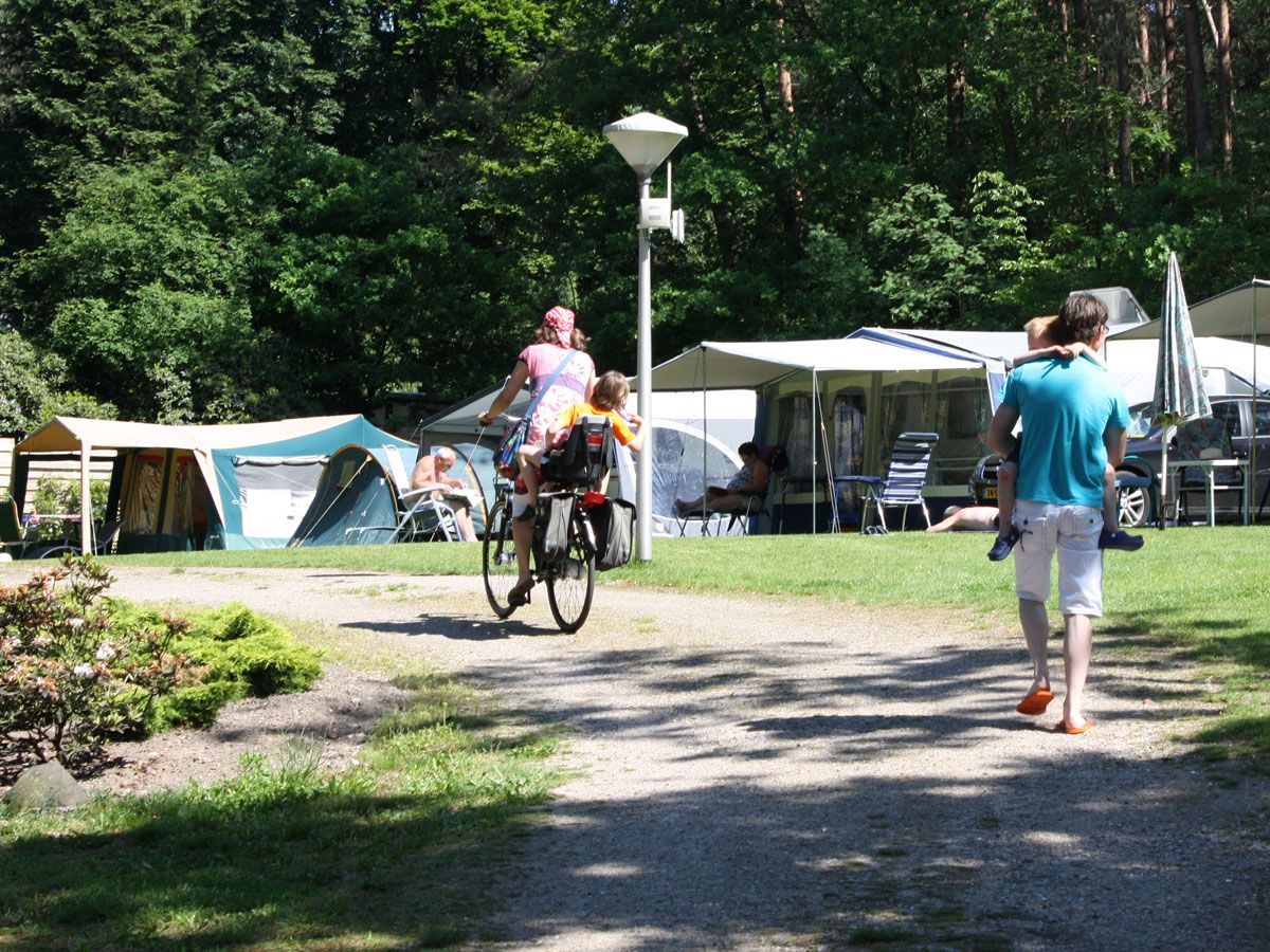 Camping-de-Bosrand-3