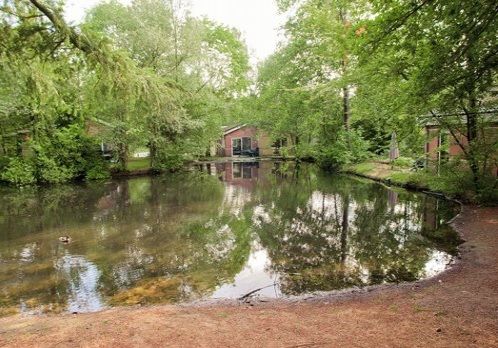 Vakantiepark-de-Berkenhorst-3